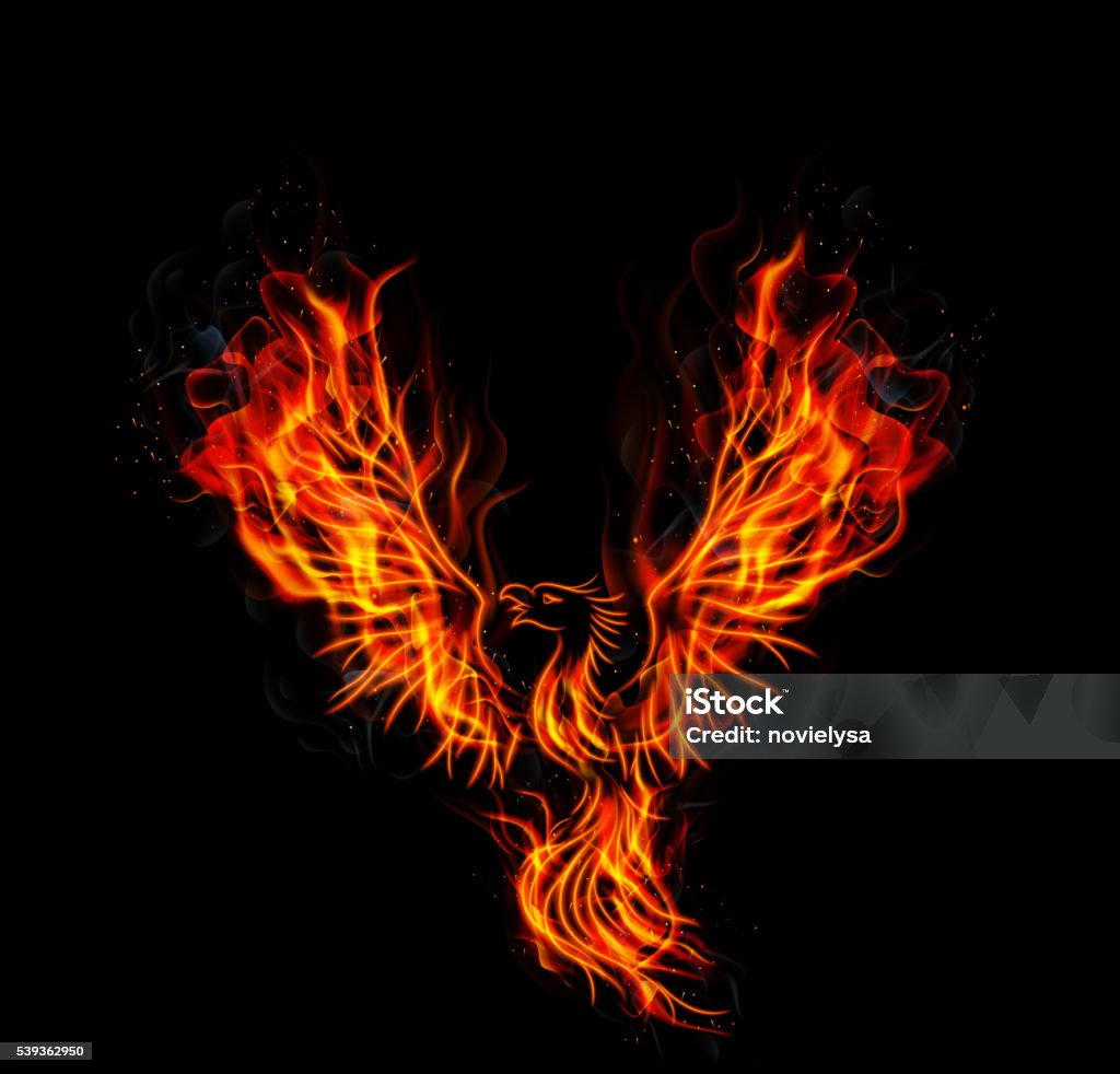 Fire Burning Phoenix Bird With Black Background Stock Illustration -  Download Image Now - Phoenix - Mythical Bird, Phoenix - Arizona, Phoenix  Palm Tree - iStock