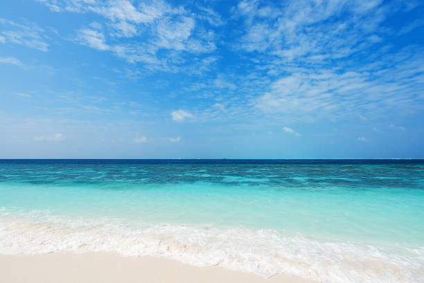 istock Tropical green lagoon and sand beach 539363210