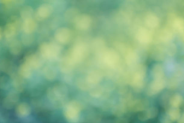 istock Yellow green floral bokeh background, lens blur 539364382