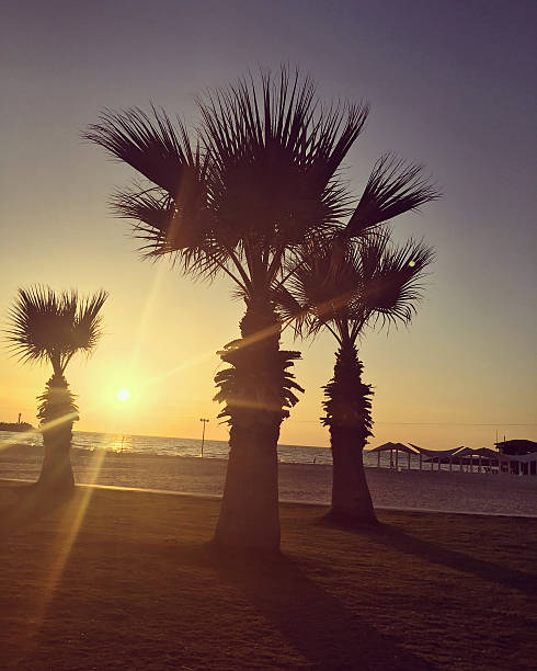 Herzliya Beach Pictures | Download Free Images on Unsplash