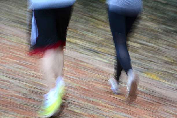 istock Running in the Wood-5 539367004