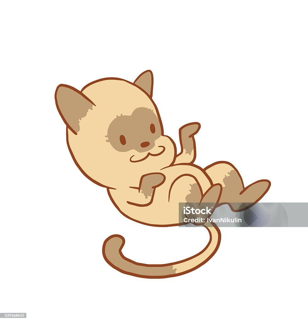 Chú Mèo Nhỏ Dễ Thương Nằm 2 Lưng Hình Ảnh Màu Sắc Hình minh họa ...