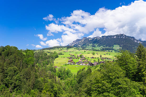 verão vista de sigriswil aldeia e do tipo emmental alpes - bernese oberland imagens e fotografias de stock