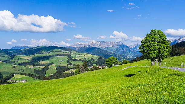 vue de emmental de passe schallenberg, suisse - emme valley photos et images de collection