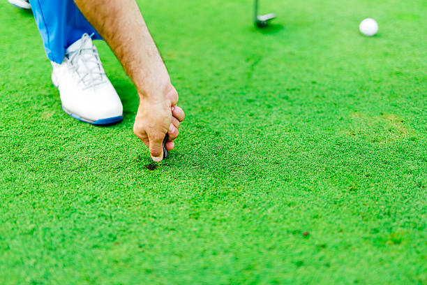 istock Golf player repairing divot 539370798