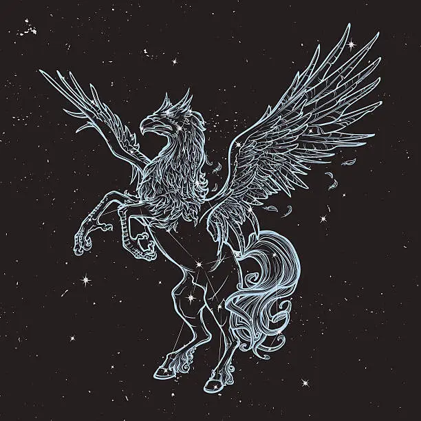 Vector illustration of Hippogriff or Hippogryph supernatural beast. Sketch on a nightsky background