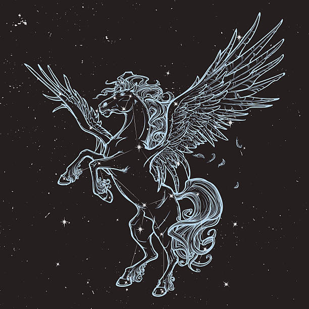 Pegasus supernatural beast. Sketch isolated on white background Pegasus greek mythological creature. Legendary beast concept drawing. Vintage tattoo design. Sketch on black nightsky background with stars. Astronomic illustration. EPS10 vector illustration. pegasus stock illustrations