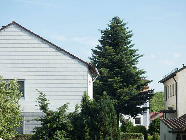 istock small old house in germany city crailsheim 539373708