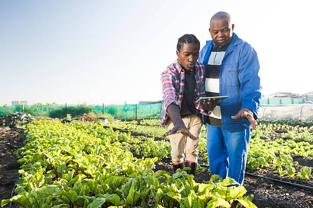 istock African males using tablet in vegetable garden 539438340