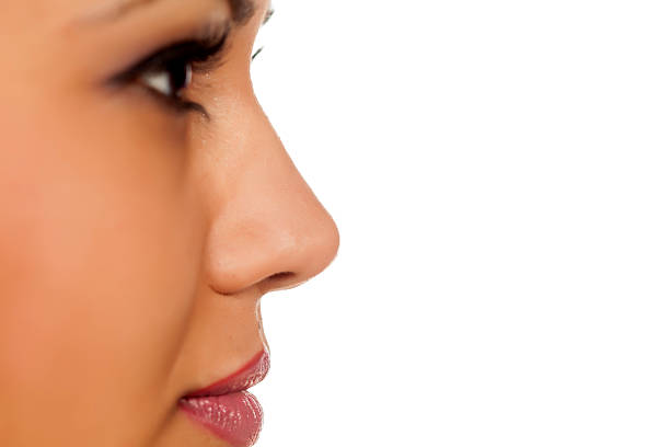 female nose close up of a female nose human nose stock pictures, royalty-free photos & images