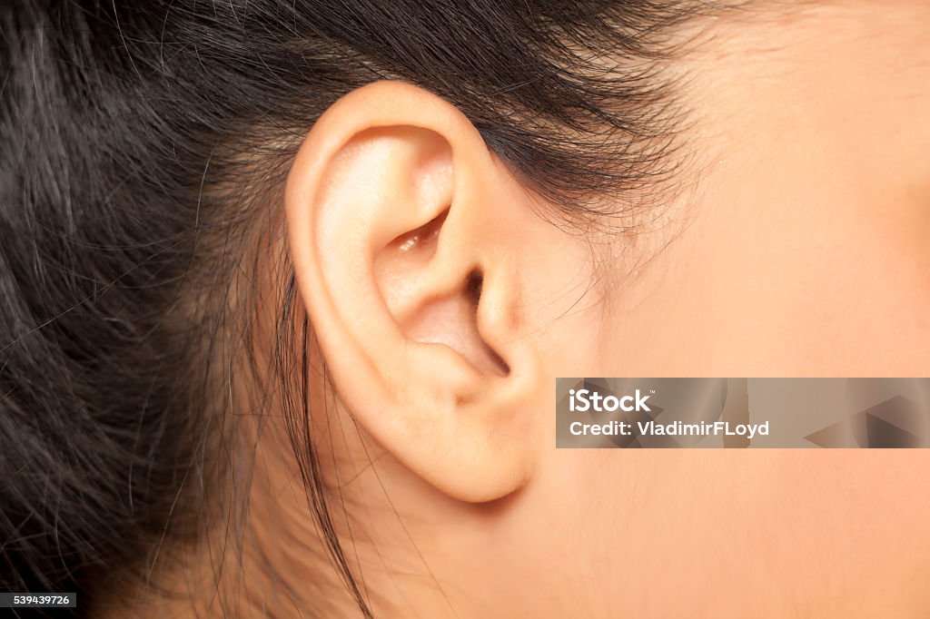 female ear close up of a female ear Ear Stock Photo