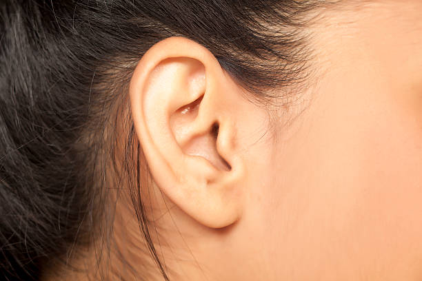 female ear close up of a female ear Earlobe stock pictures, royalty-free photos & images