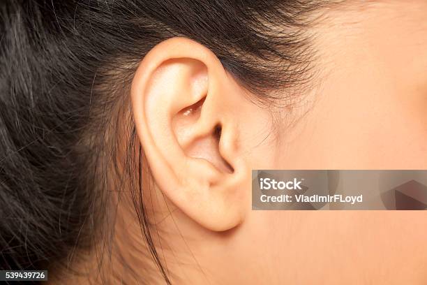 Female Ear Stock Photo - Download Image Now - Ear, Women, Close-up