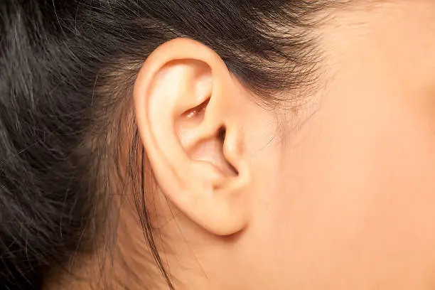 close up of a female ear