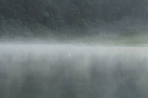 istock Tamblingan Lake, Bali 539441444
