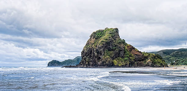 istock Wet beach of Piha 539442482