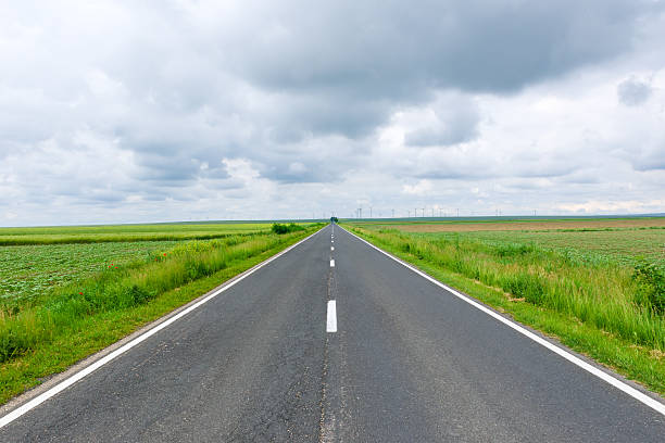 istock Road through the green field 539442612