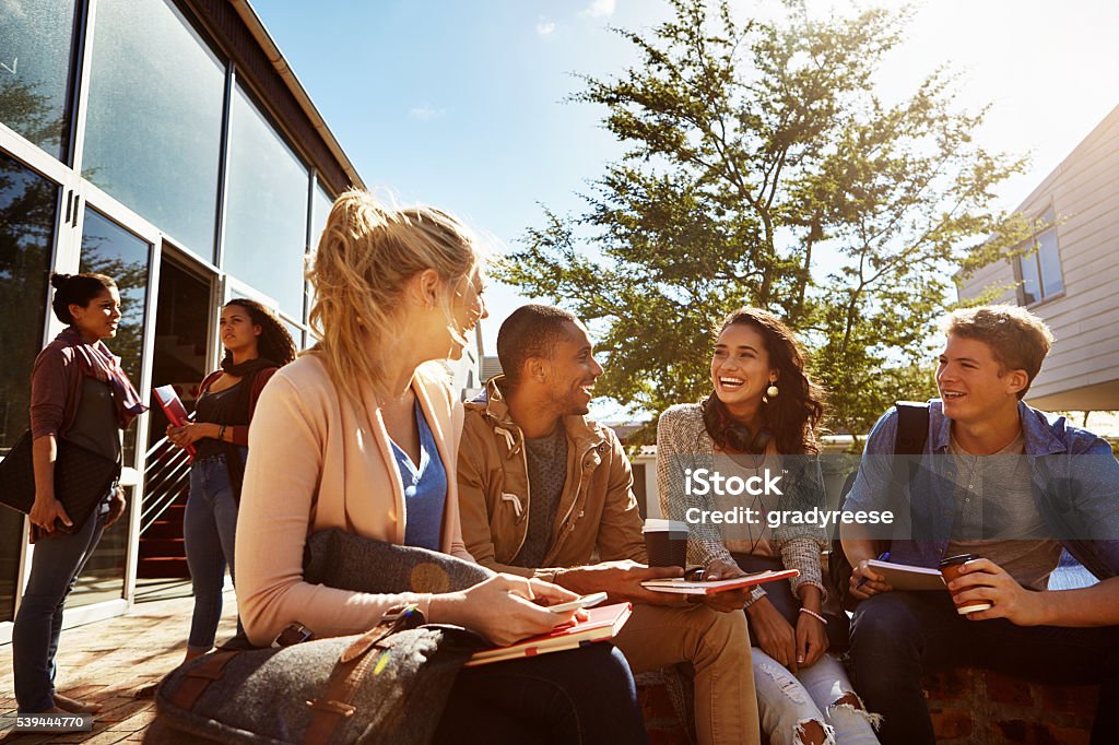 Work with the people that motivate and inspire you Shot of a group of students studying outside on campus University Student Stock Photo