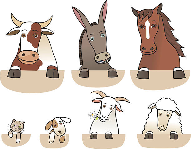 Set of farm animals torsos isolated vector art illustration