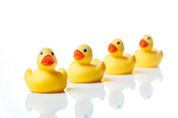 Group of yellow rubber duck toys stock photo