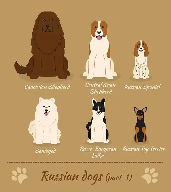 Vector illustration of Russian breed of dogs