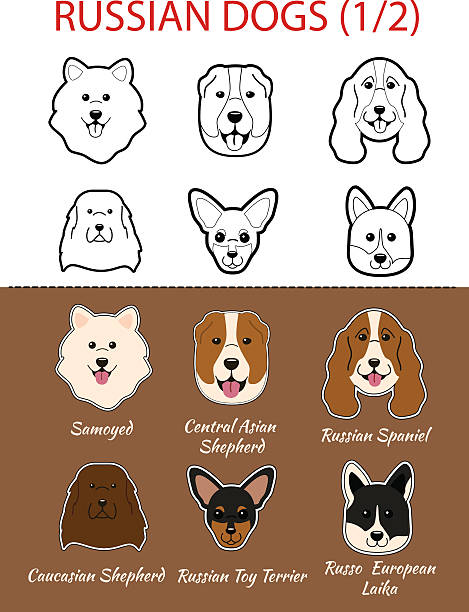 Russian breed of dogs vector art illustration