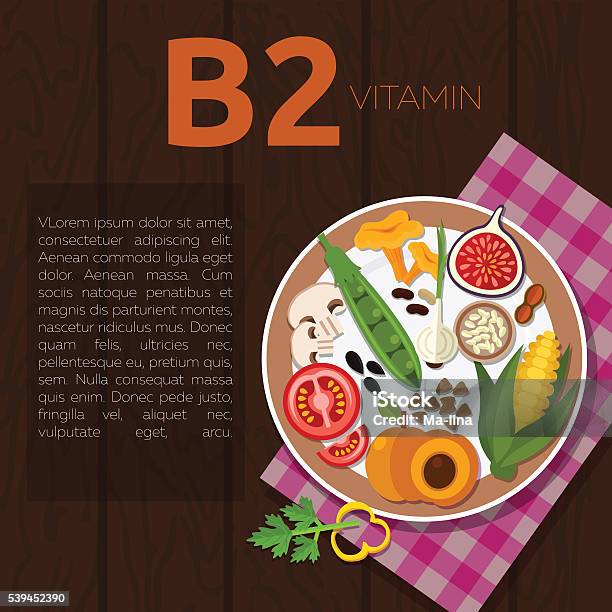 Vetores de Estilo De Vida Saudável E Alimentação e mais imagens de Agricultura - Agricultura, Cebola, Cogumelo Chanterelle