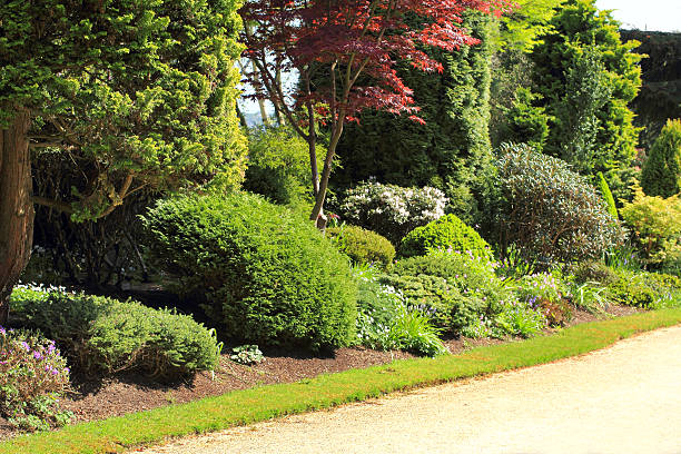 istock Beautiful spring garden in Scotland 539454988