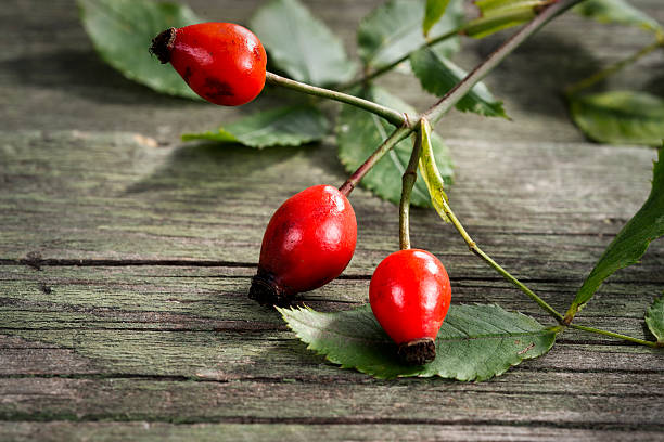 istock Dog roses on wooden background, selective focus 539455642