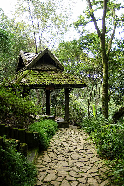 istock Stone Paved Path in a Tropical Garden 539455912