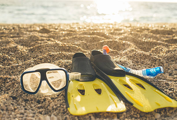 istock yellow flipers and diving mask on a sand beach 539458344