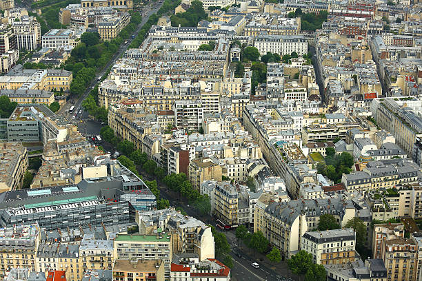 istock Aerial view of Paris rooftops and tree lined streets 539460242
