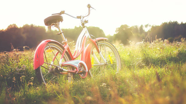 istock Red vintage bicycle in a meadow on a sunny day 539460766