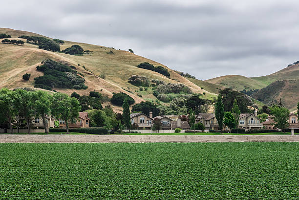 strawberry fields juxtposed mit urbanes wohnen - salinas stock-fotos und bilder