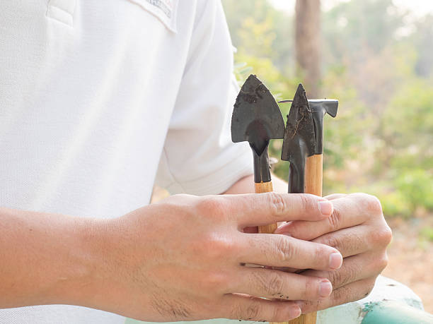 istock man planted a flower in a pot 539468282