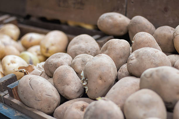 картофель для продажи на рынке в бирмингеме, германия - red potato raw potato market red стоковые фото и изображения