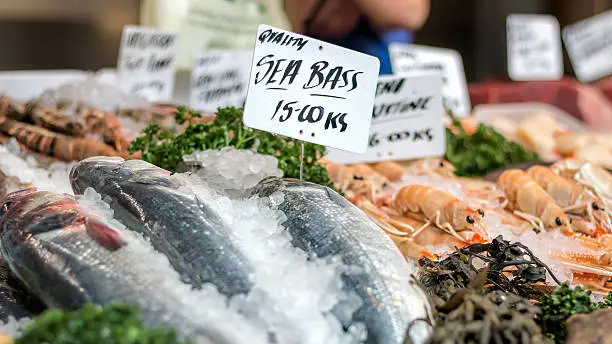 Photo of Fresh sea bass and seafood at market counter.