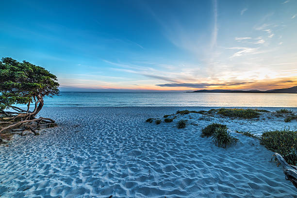 istock sandy shore at sunset in Sardinia 539470944