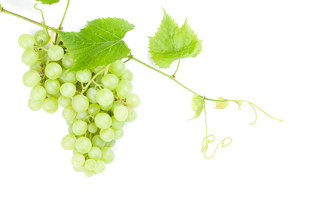 istock Bunch of white grapes 539474662