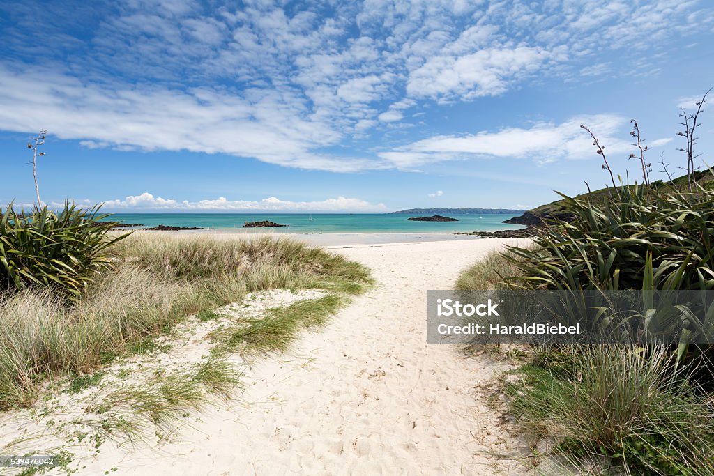 Beach on the channel island of Herm, UK, Europe Way to the famous shell beach on the channel island of Herm, UK, Europe, shot taken in spring Island Stock Photo