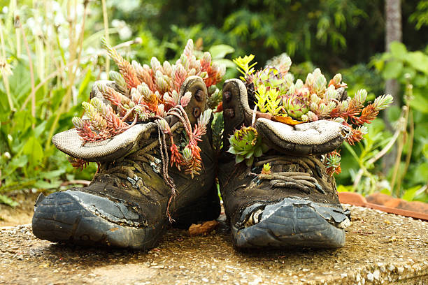 istock Old boots used as flower pots 539477602