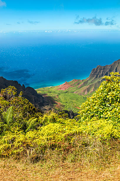 istock Kalalau Valley in Kauai 539478300