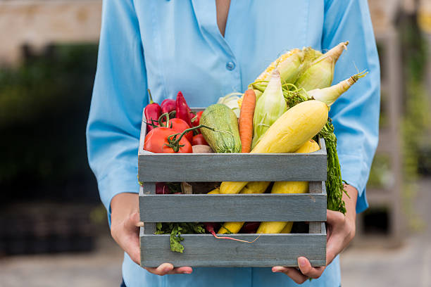 Woman holding a basket of fresh vegetables. Corn, tomatoes, carrots, squash, and chili peppers are all inside of the basket. She is standing outside. The focus is on her hands and the basket. Her face is out of frame.