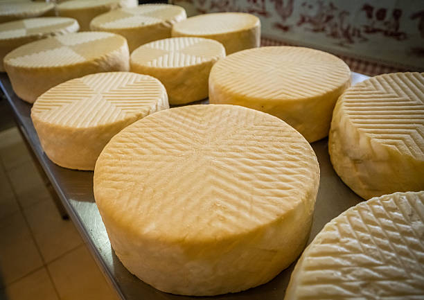istock Large chunks of goat cheese 539484038