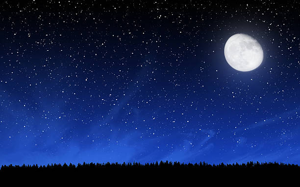 istock Deep night sky with many stars and forest 539642794