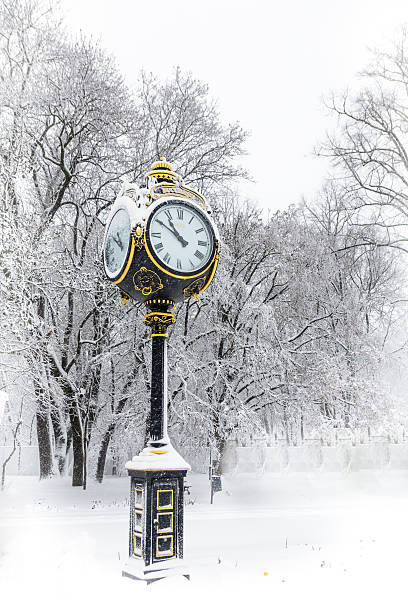 istock Bucharest in a winter day - Cismigiu Park. Cismigiu park 539645832