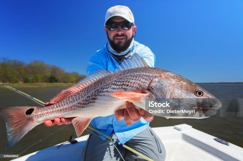 Pescador con un gran gallineta nórdica - Foto de stock de Pescar libre de derechos