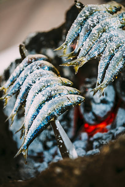 istock Fish Espetos preparation. Espetos - skewer with sardines 539647350