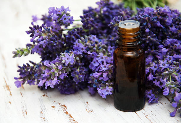 istock Lavender and massage oil 539648372