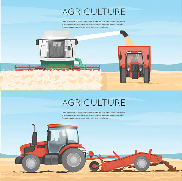 illustrations, cliparts, dessins animés et icônes de tracteur, associent. l'agriculture. agriculture véhicules. cueillette, l'agriculture. batterie de serveurs. - summer cereal plant sunlight sun